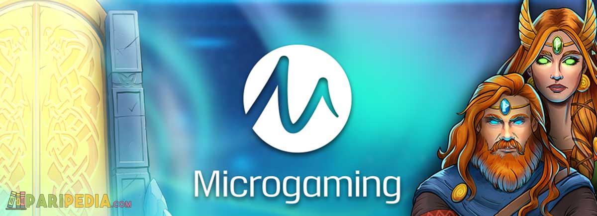 Logiciel Microgaming