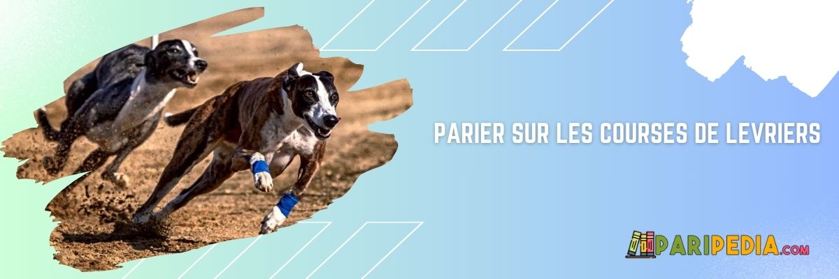 Parier sur les courses de lévriers